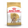 Royal Canin Barboncino Adult Alimento Completo per Cani di Razza Adulti e Maturi Oltre 10 Mesi di Età  7.5KG