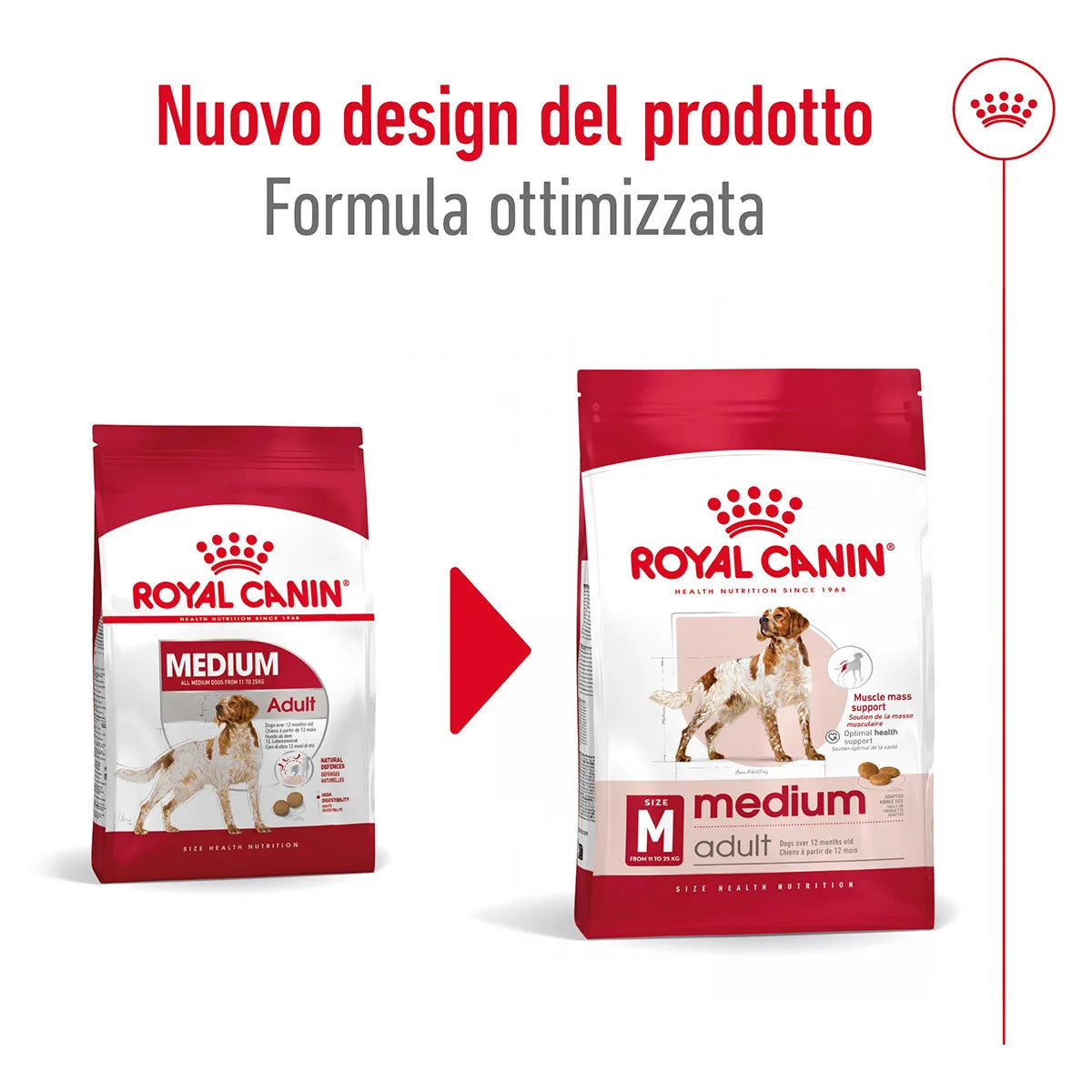 Royal Canin Medium Adult Alimento Completo per Cani Adulti di Taglia Media 15 KG