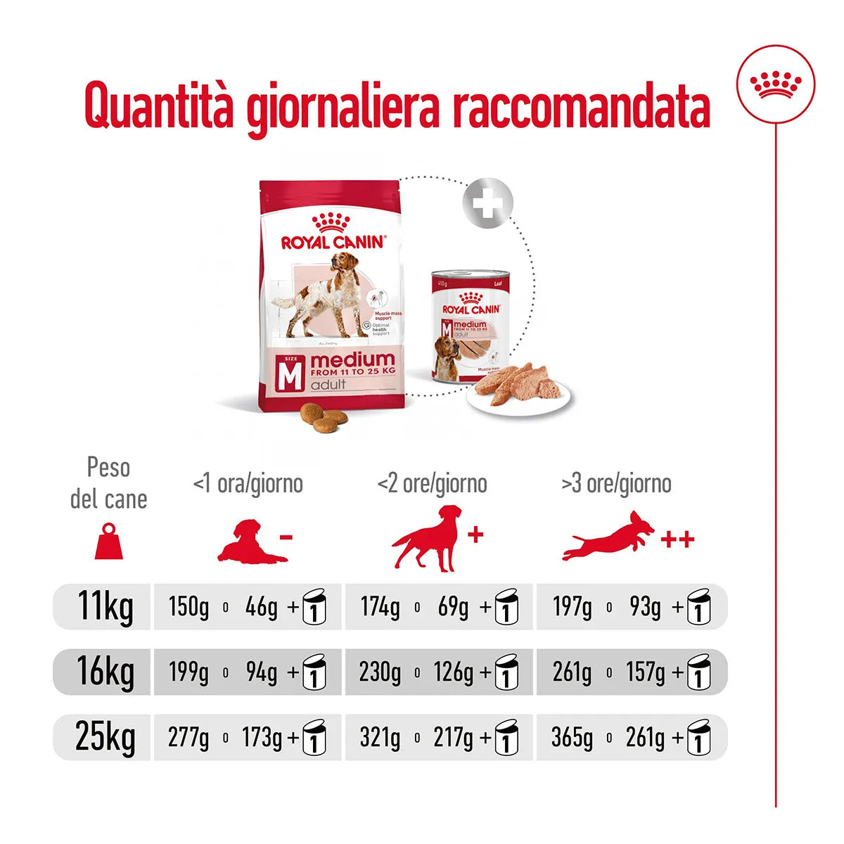 Royal Canin Medium Adult Alimento Completo per Cani Adulti di Taglia Media 15 KG