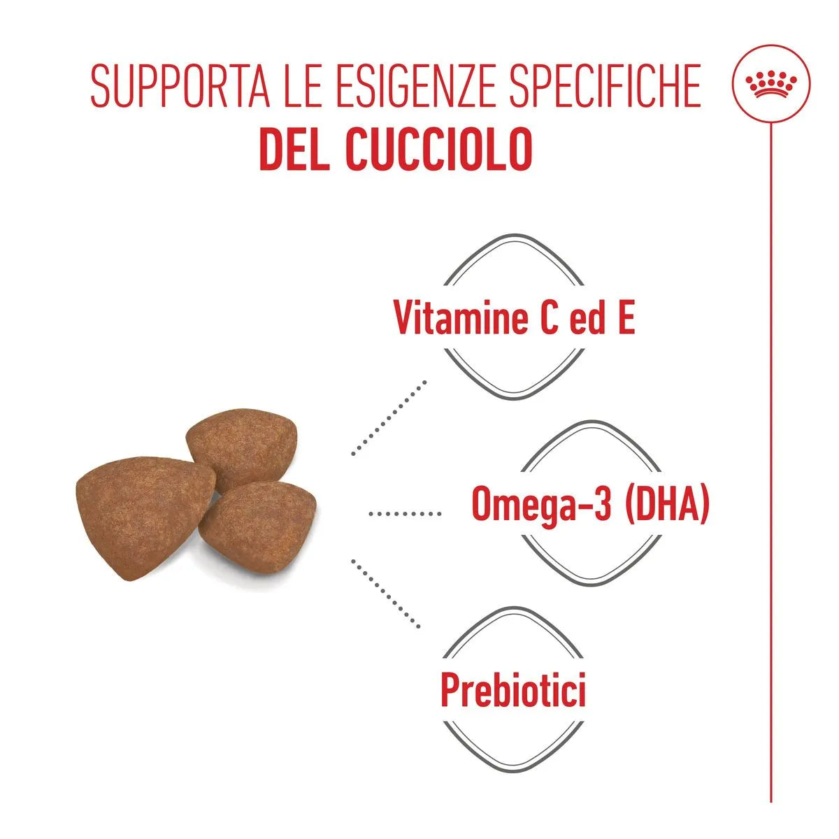 Royal Canin Mini Puppy Alimento completo per cuccioli di taglia piccola Fino a 10 mesi di età 8 KG