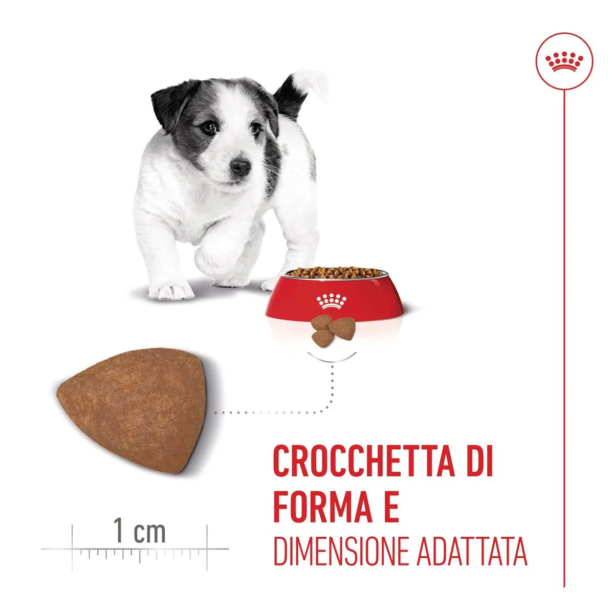 Royal Canin Mini Puppy Alimento completo per cuccioli di taglia piccola Fino a 10 mesi di età 8 KG