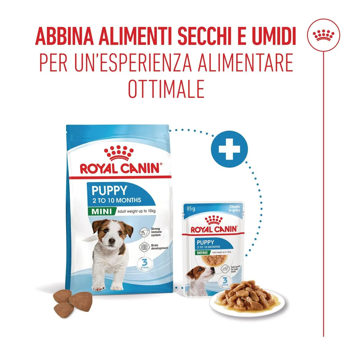 Royal Canin Mini Puppy Alimento completo per cuccioli di taglia piccola Fino a 10 mesi di età 8 KG
