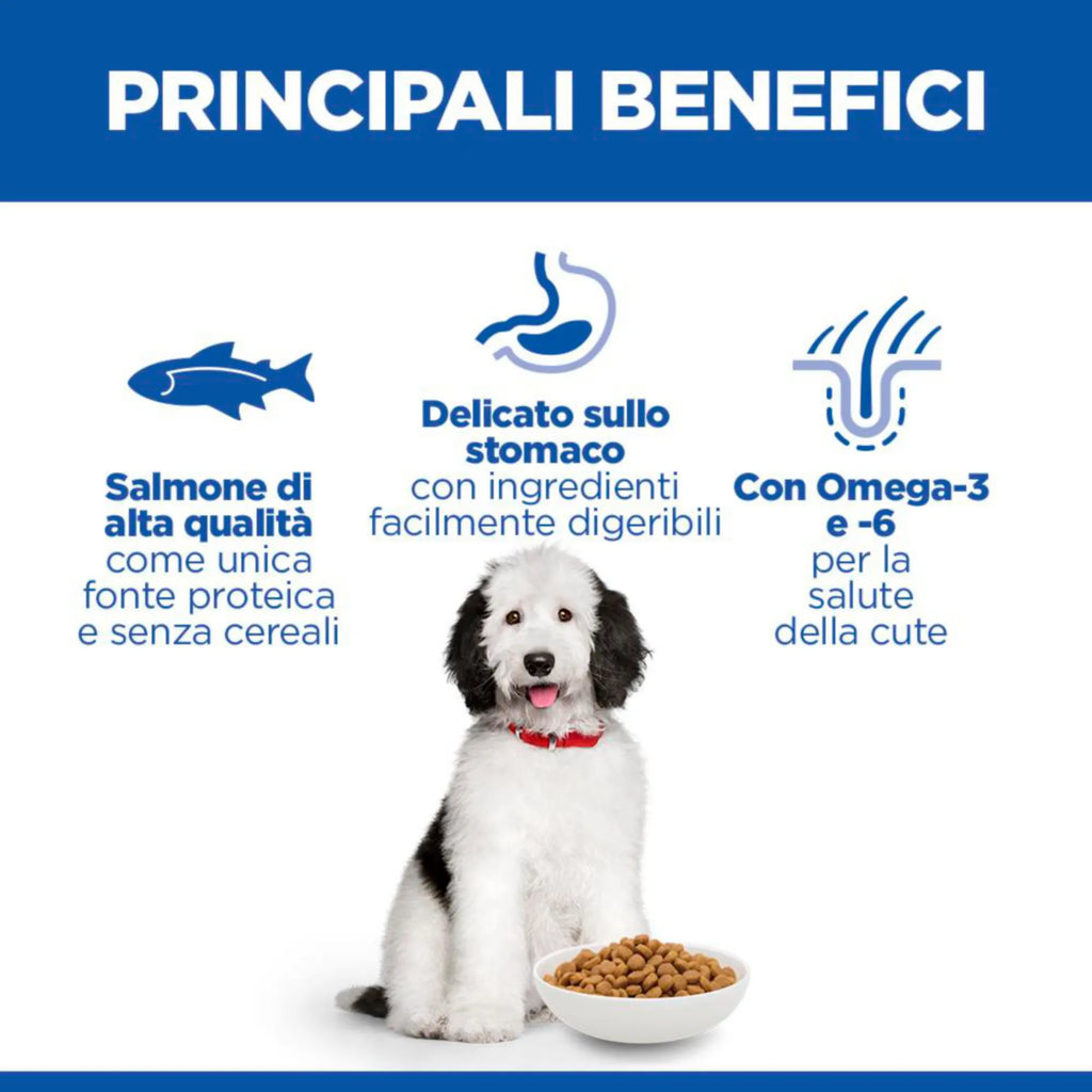 Hill's Science Plan Hypoallergenic Adult Large Breed alimento secco per cani al Salmone 6KG