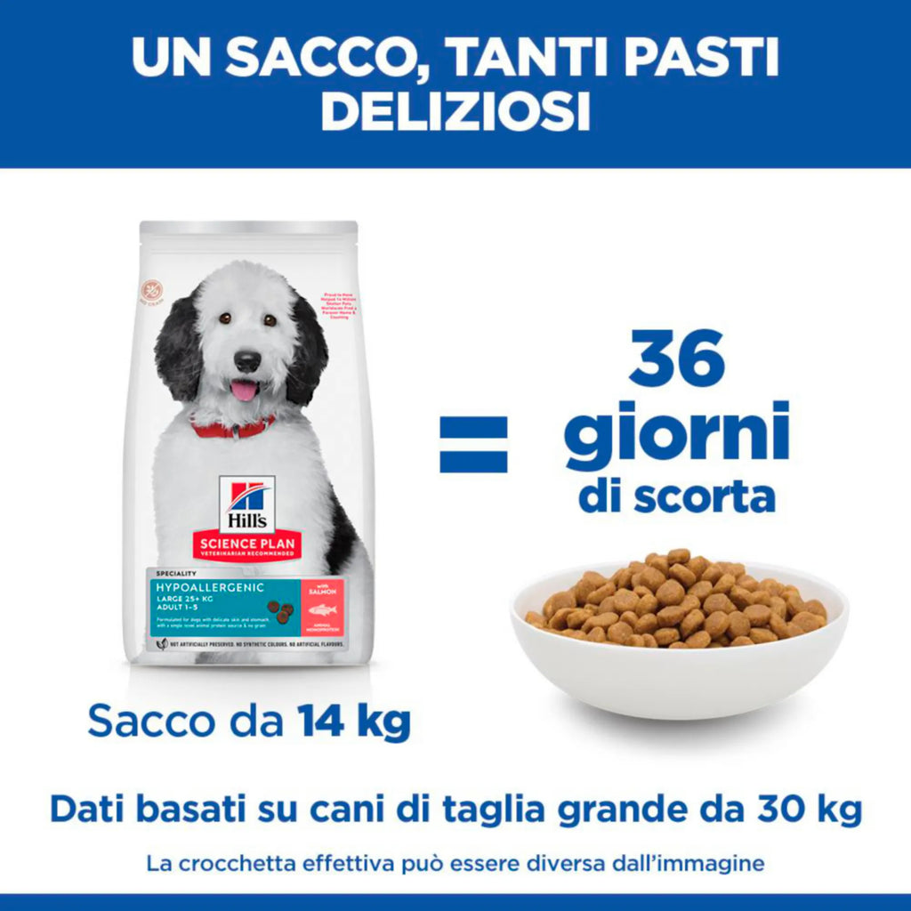 Hill's Science Plan Hypoallergenic Adult Large Breed alimento secco per cani al Salmone 6KG
