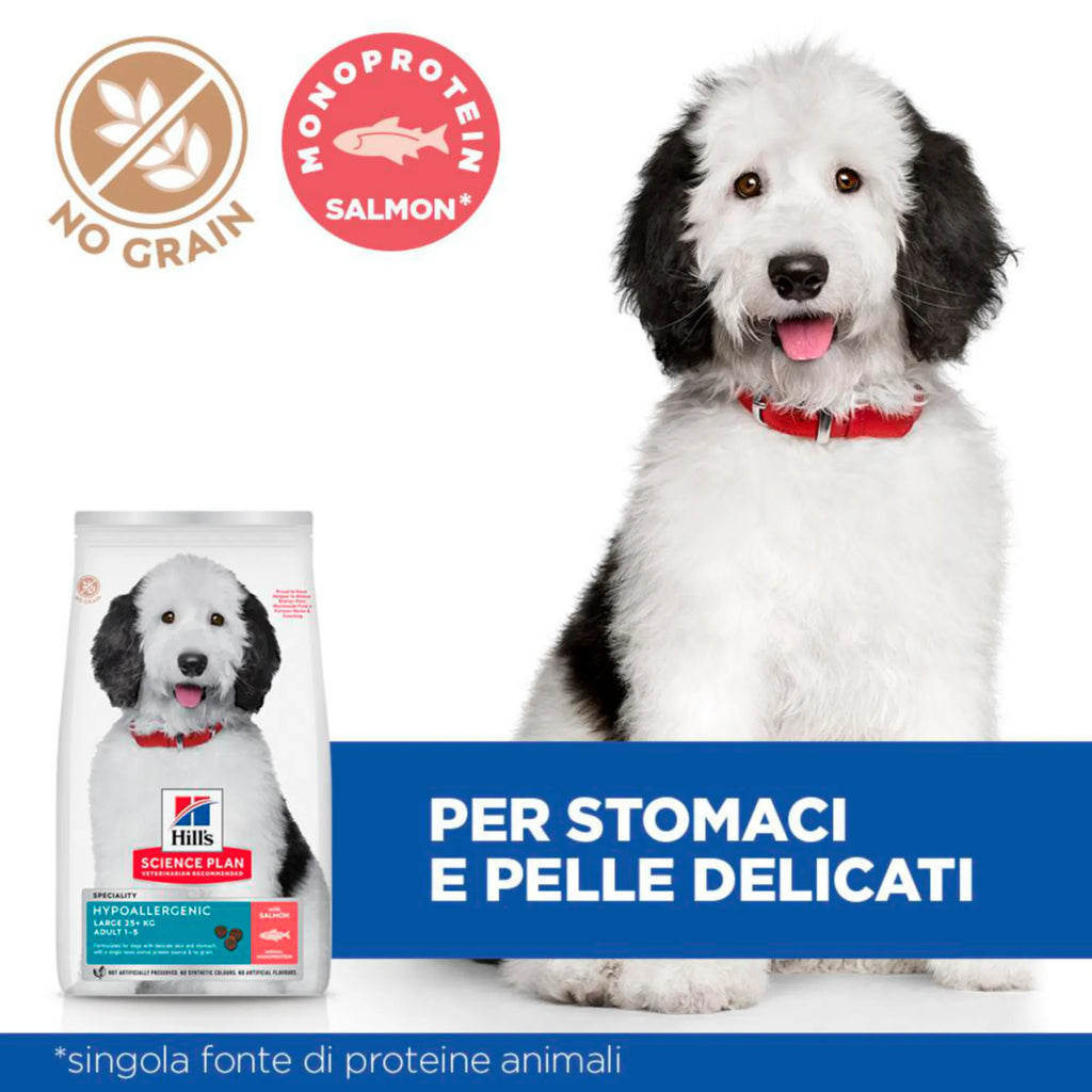 Hill's Science Plan Hypoallergenic Adult Large Breed alimento secco per cani al Salmone 6KG