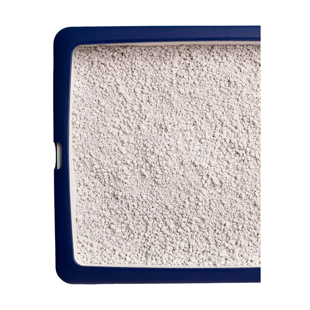 Catsan Hygiene Plus Lettiera per Gatto