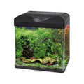 Amtra Acquario Wave Laguna Led
