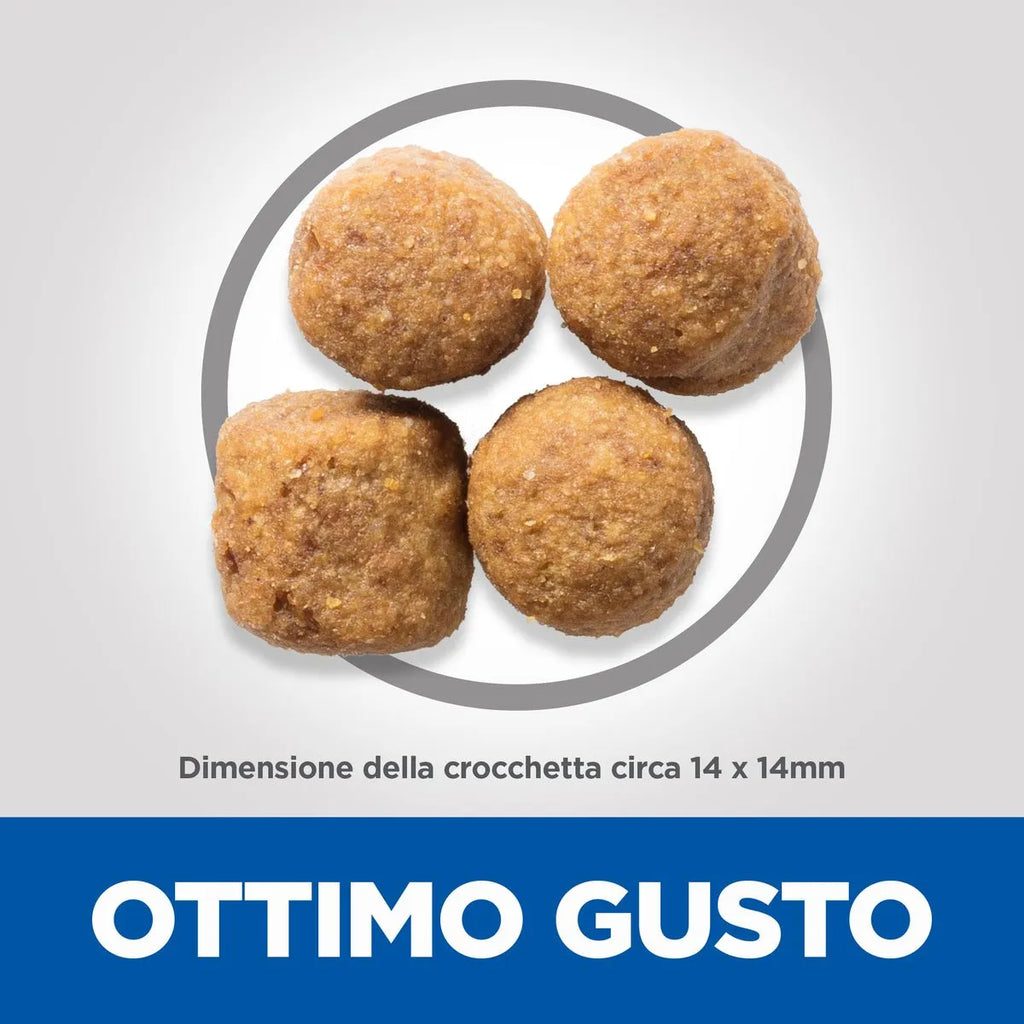 Hill's Science Plan Dog Large Adult al Pollo  18 KG