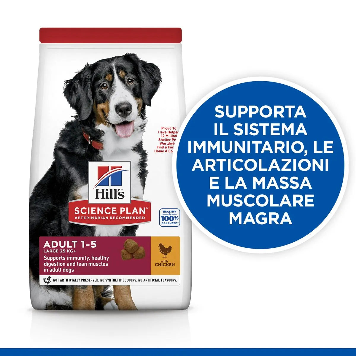 Hill's Science Plan Dog Large Adult al Pollo  18 KG